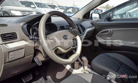 Buy Import Kia Picanto White Car in Import - Dubai in Agalega Islands Buy Import Kia Picanto White Car in Import - Dubai in Agalega Islands