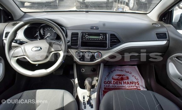 Buy Import Kia Picanto White Car in Import - Dubai in Agalega Islands Buy Import Kia Picanto White Car in Import - Dubai in Agalega Islands