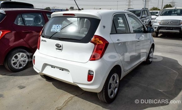 Buy Import Kia Picanto White Car in Import - Dubai in Agalega Islands Buy Import Kia Picanto White Car in Import - Dubai in Agalega Islands