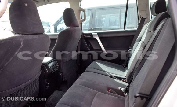 Buy Import Toyota Prado Other Car in Import - Dubai in Agalega Islands Buy Import Toyota Prado Other Car in Import - Dubai in Agalega Islands