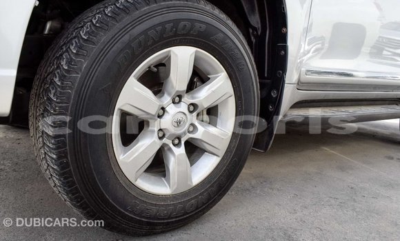 Buy Import Toyota Prado Other Car in Import - Dubai in Agalega Islands Buy Import Toyota Prado Other Car in Import - Dubai in Agalega Islands