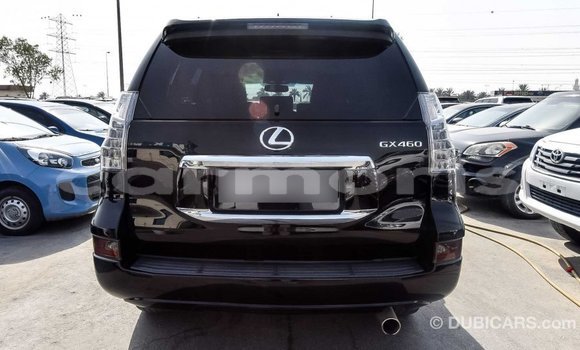 Buy Import Lexus GX Black Car in Import - Dubai in Agalega Islands Buy Import Lexus GX Black Car in Import - Dubai in Agalega Islands
