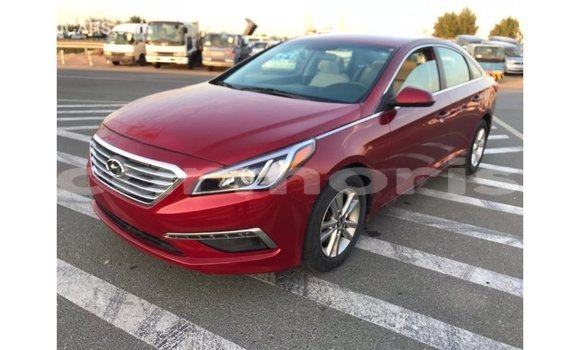 Buy Import Hyundai Sonata Red Car in Import - Dubai in Agalega Islands Buy Import Hyundai Sonata Red Car in Import - Dubai in Agalega Islands
