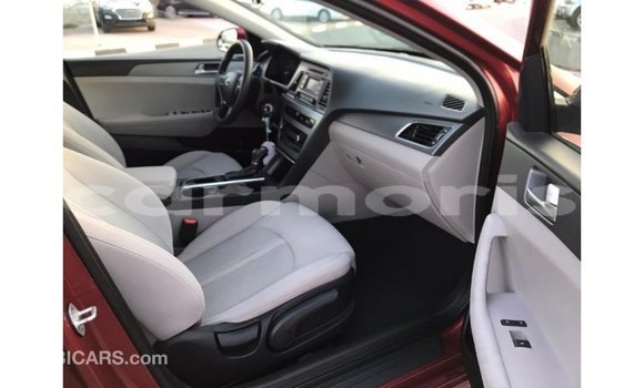 Buy Import Hyundai Sonata Red Car in Import - Dubai in Agalega Islands Buy Import Hyundai Sonata Red Car in Import - Dubai in Agalega Islands
