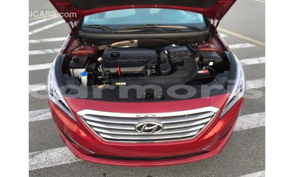 Buy Import Hyundai Sonata Red Car in Import - Dubai in Agalega Islands Buy Import Hyundai Sonata Red Car in Import - Dubai in Agalega Islands