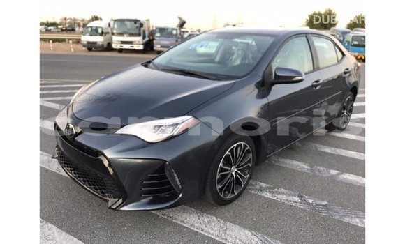Buy Import Toyota Corolla Other Car in Import - Dubai in Agalega Islands Buy Import Toyota Corolla Other Car in Import - Dubai in Agalega Islands