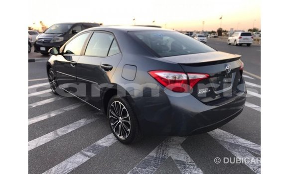 Buy Import Toyota Corolla Other Car in Import - Dubai in Agalega Islands Buy Import Toyota Corolla Other Car in Import - Dubai in Agalega Islands