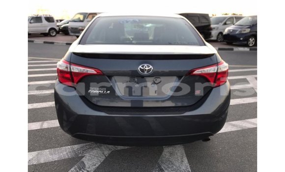 Buy Import Toyota Corolla Other Car in Import - Dubai in Agalega Islands Buy Import Toyota Corolla Other Car in Import - Dubai in Agalega Islands