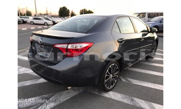 Buy Import Toyota Corolla Other Car in Import - Dubai in Agalega Islands Buy Import Toyota Corolla Other Car in Import - Dubai in Agalega Islands