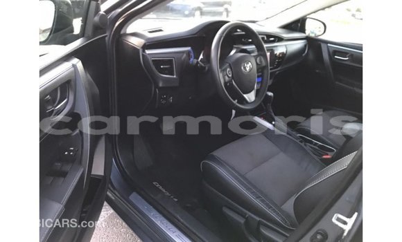 Buy Import Toyota Corolla Other Car in Import - Dubai in Agalega Islands Buy Import Toyota Corolla Other Car in Import - Dubai in Agalega Islands