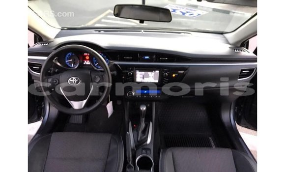 Buy Import Toyota Corolla Other Car in Import - Dubai in Agalega Islands Buy Import Toyota Corolla Other Car in Import - Dubai in Agalega Islands