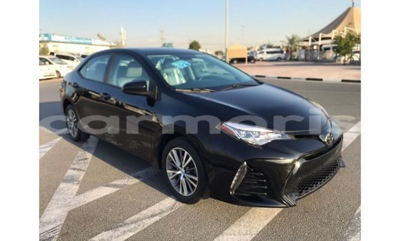 Buy Import Toyota Corolla Black Car in Import - Dubai in Agalega Islands Buy Import Toyota Corolla Black Car in Import - Dubai in Agalega Islands