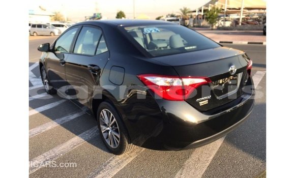 Buy Import Toyota Corolla Black Car in Import - Dubai in Agalega Islands Buy Import Toyota Corolla Black Car in Import - Dubai in Agalega Islands
