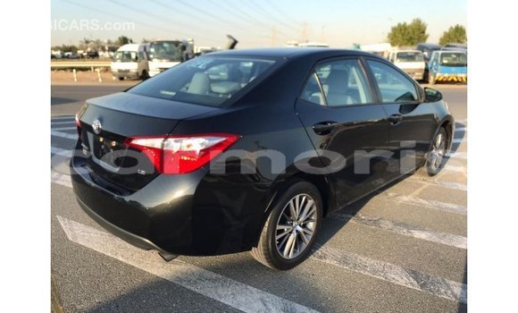 Buy Import Toyota Corolla Black Car in Import - Dubai in Agalega Islands Buy Import Toyota Corolla Black Car in Import - Dubai in Agalega Islands