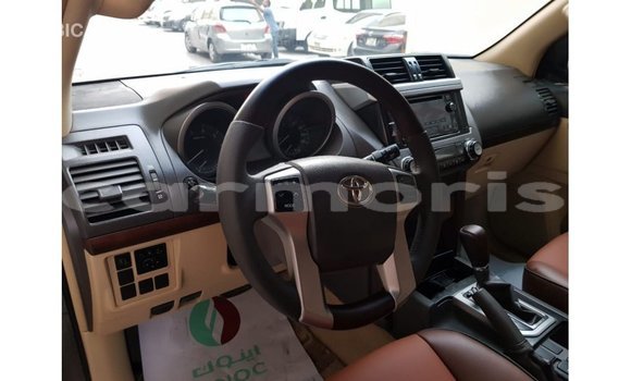 Buy Import Toyota Prado Brown Car in Import - Dubai in Agalega Islands Buy Import Toyota Prado Brown Car in Import - Dubai in Agalega Islands