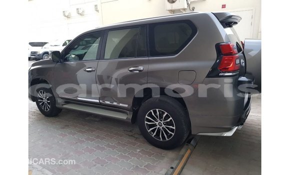 Buy Import Toyota Prado Brown Car in Import - Dubai in Agalega Islands Buy Import Toyota Prado Brown Car in Import - Dubai in Agalega Islands