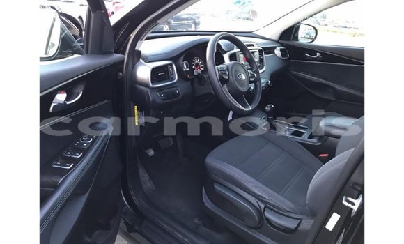 Buy Import Kia Sorento Black Car in Import - Dubai in Agalega Islands Buy Import Kia Sorento Black Car in Import - Dubai in Agalega Islands
