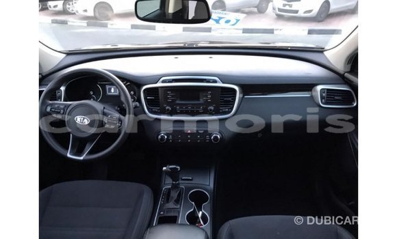 Buy Import Kia Sorento Black Car in Import - Dubai in Agalega Islands Buy Import Kia Sorento Black Car in Import - Dubai in Agalega Islands