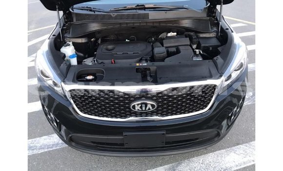 Buy Import Kia Sorento Black Car in Import - Dubai in Agalega Islands Buy Import Kia Sorento Black Car in Import - Dubai in Agalega Islands