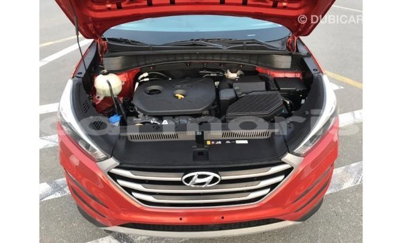 Buy Import Hyundai Tucson Red Car in Import - Dubai in Agalega Islands Buy Import Hyundai Tucson Red Car in Import - Dubai in Agalega Islands