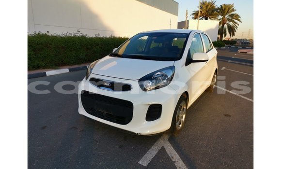 Buy Import Kia Picanto White Car in Import - Dubai in Agalega Islands Buy Import Kia Picanto White Car in Import - Dubai in Agalega Islands