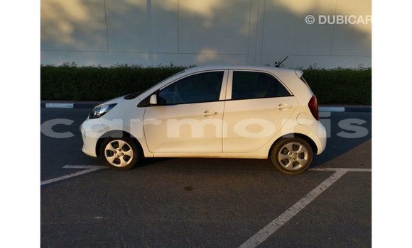 Buy Import Kia Picanto White Car in Import - Dubai in Agalega Islands Buy Import Kia Picanto White Car in Import - Dubai in Agalega Islands