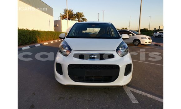 Buy Import Kia Picanto White Car in Import - Dubai in Agalega Islands Buy Import Kia Picanto White Car in Import - Dubai in Agalega Islands