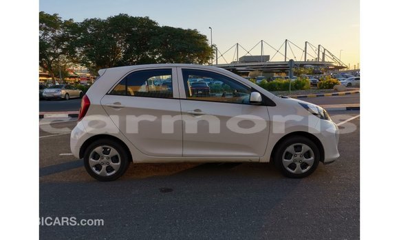 Buy Import Kia Picanto White Car in Import - Dubai in Agalega Islands Buy Import Kia Picanto White Car in Import - Dubai in Agalega Islands