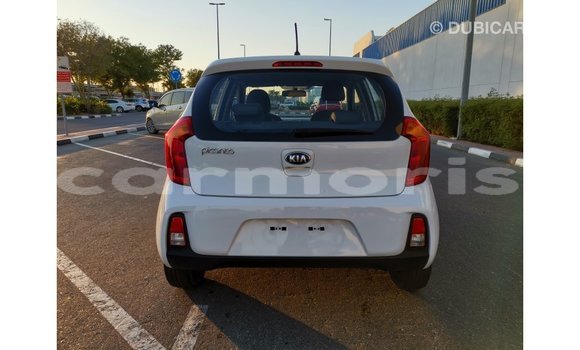 Buy Import Kia Picanto White Car in Import - Dubai in Agalega Islands Buy Import Kia Picanto White Car in Import - Dubai in Agalega Islands