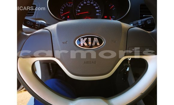 Buy Import Kia Picanto White Car in Import - Dubai in Agalega Islands Buy Import Kia Picanto White Car in Import - Dubai in Agalega Islands