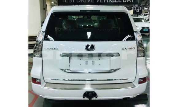 Buy Import Lexus GX White Car in Import - Dubai in Agalega Islands Buy Import Lexus GX White Car in Import - Dubai in Agalega Islands