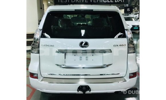Buy Import Lexus GX White Car in Import - Dubai in Agalega Islands Buy Import Lexus GX White Car in Import - Dubai in Agalega Islands