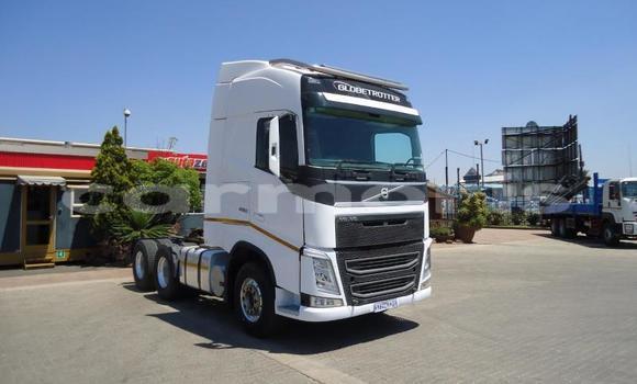 Buy Used Volvo F4 White Truck in Port Louis in Port Louis District
