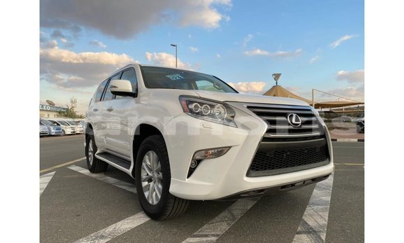 Buy Import Lexus GX White Car in Import - Dubai in Agalega Islands Buy Import Lexus GX White Car in Import - Dubai in Agalega Islands