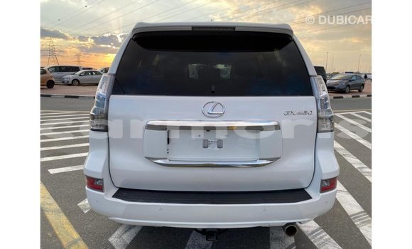 Buy Import Lexus GX White Car in Import - Dubai in Agalega Islands Buy Import Lexus GX White Car in Import - Dubai in Agalega Islands