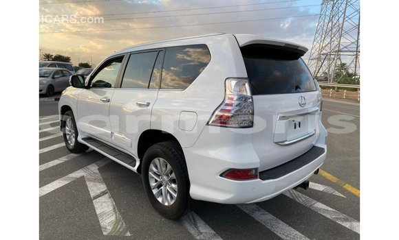 Buy Import Lexus GX White Car in Import - Dubai in Agalega Islands Buy Import Lexus GX White Car in Import - Dubai in Agalega Islands