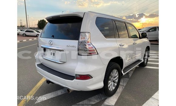 Buy Import Lexus GX White Car in Import - Dubai in Agalega Islands Buy Import Lexus GX White Car in Import - Dubai in Agalega Islands