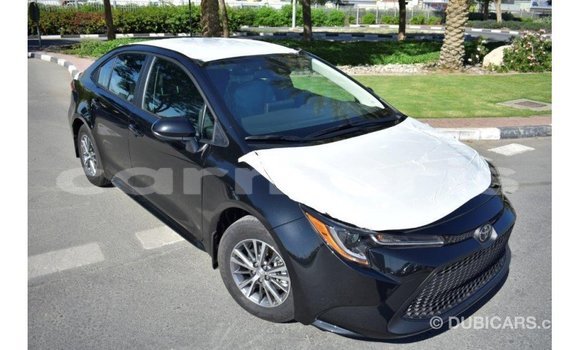 Buy Import Toyota Corolla Black Car in Import - Dubai in Agalega Islands Buy Import Toyota Corolla Black Car in Import - Dubai in Agalega Islands