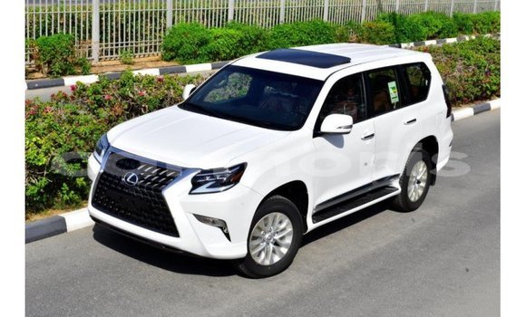 Buy Import Lexus GX White Car in Import - Dubai in Agalega Islands Buy Import Lexus GX White Car in Import - Dubai in Agalega Islands