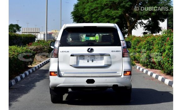 Buy Import Lexus GX White Car in Import - Dubai in Agalega Islands Buy Import Lexus GX White Car in Import - Dubai in Agalega Islands