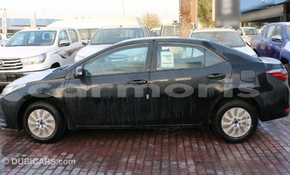 Buy Import Toyota Corolla Black Car in Import - Dubai in Agalega Islands Buy Import Toyota Corolla Black Car in Import - Dubai in Agalega Islands