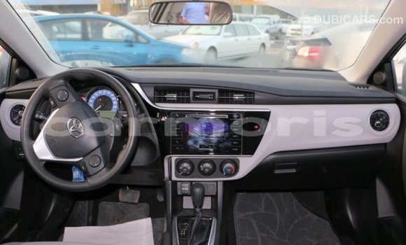 Buy Import Toyota Corolla Black Car in Import - Dubai in Agalega Islands Buy Import Toyota Corolla Black Car in Import - Dubai in Agalega Islands