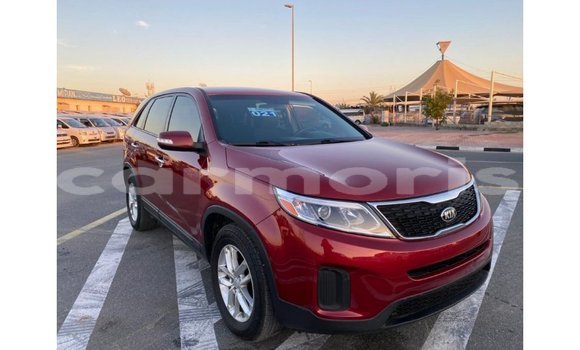 Buy Import Kia Sorento Red Car in Import - Dubai in Agalega Islands Buy Import Kia Sorento Red Car in Import - Dubai in Agalega Islands