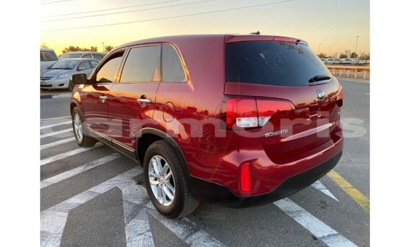 Buy Import Kia Sorento Red Car in Import - Dubai in Agalega Islands Buy Import Kia Sorento Red Car in Import - Dubai in Agalega Islands