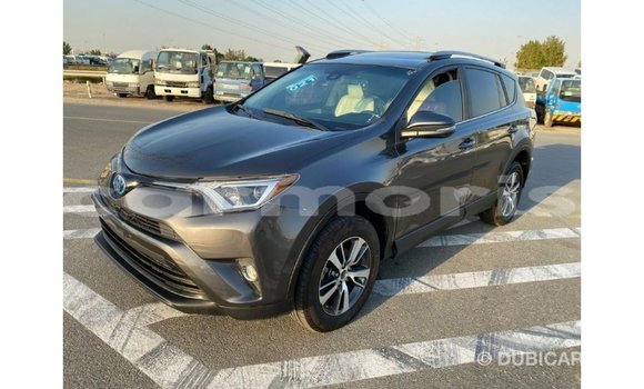 Buy Import Toyota HiAce Other Truck in Import - Dubai in Agalega Islands Buy Import Toyota HiAce Other Truck in Import - Dubai in Agalega Islands