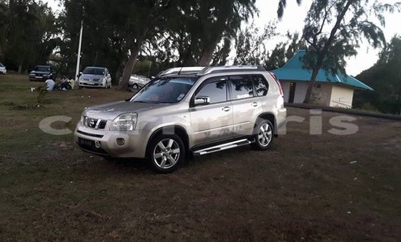 Buy Used Nissan X–Trail Silver Car in Creve Coeur in Pamplempousses Buy Used Nissan X–Trail Silver Car in Creve Coeur in Pamplempousses