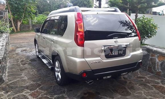 Buy Used Nissan X–Trail Silver Car in Creve Coeur in Pamplempousses Buy Used Nissan X–Trail Silver Car in Creve Coeur in Pamplempousses