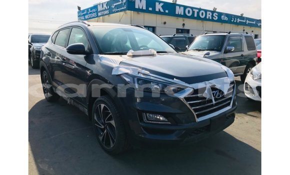 Buy Import Hyundai Tucson Other Car in Import - Dubai in Agalega Islands Buy Import Hyundai Tucson Other Car in Import - Dubai in Agalega Islands
