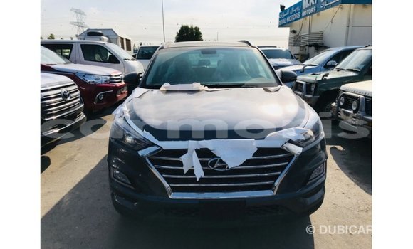 Buy Import Hyundai Tucson Other Car in Import - Dubai in Agalega Islands Buy Import Hyundai Tucson Other Car in Import - Dubai in Agalega Islands