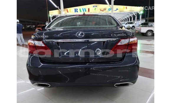 Buy Import Lexus LS Other Car in Import - Dubai in Agalega Islands Buy Import Lexus LS Other Car in Import - Dubai in Agalega Islands